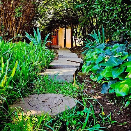 Bird Haven Guesthouse Hlotse Εξωτερικό φωτογραφία