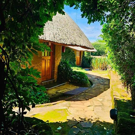 Bird Haven Guesthouse Hlotse Εξωτερικό φωτογραφία